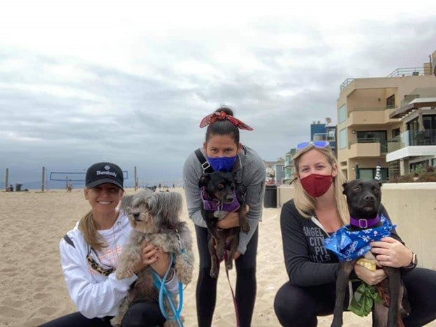 People and dogs posing on a beach